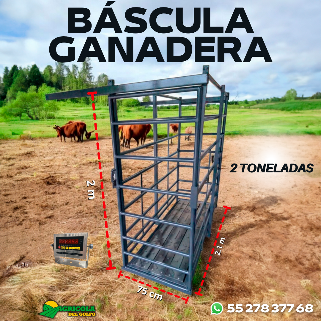 Báscula Ganadera Con Jaula 2 Toneladas + Monitor acero inoxidable
